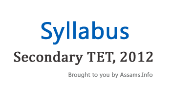 Secondary TET Syllabus