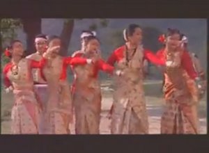 Phul Phulise Video